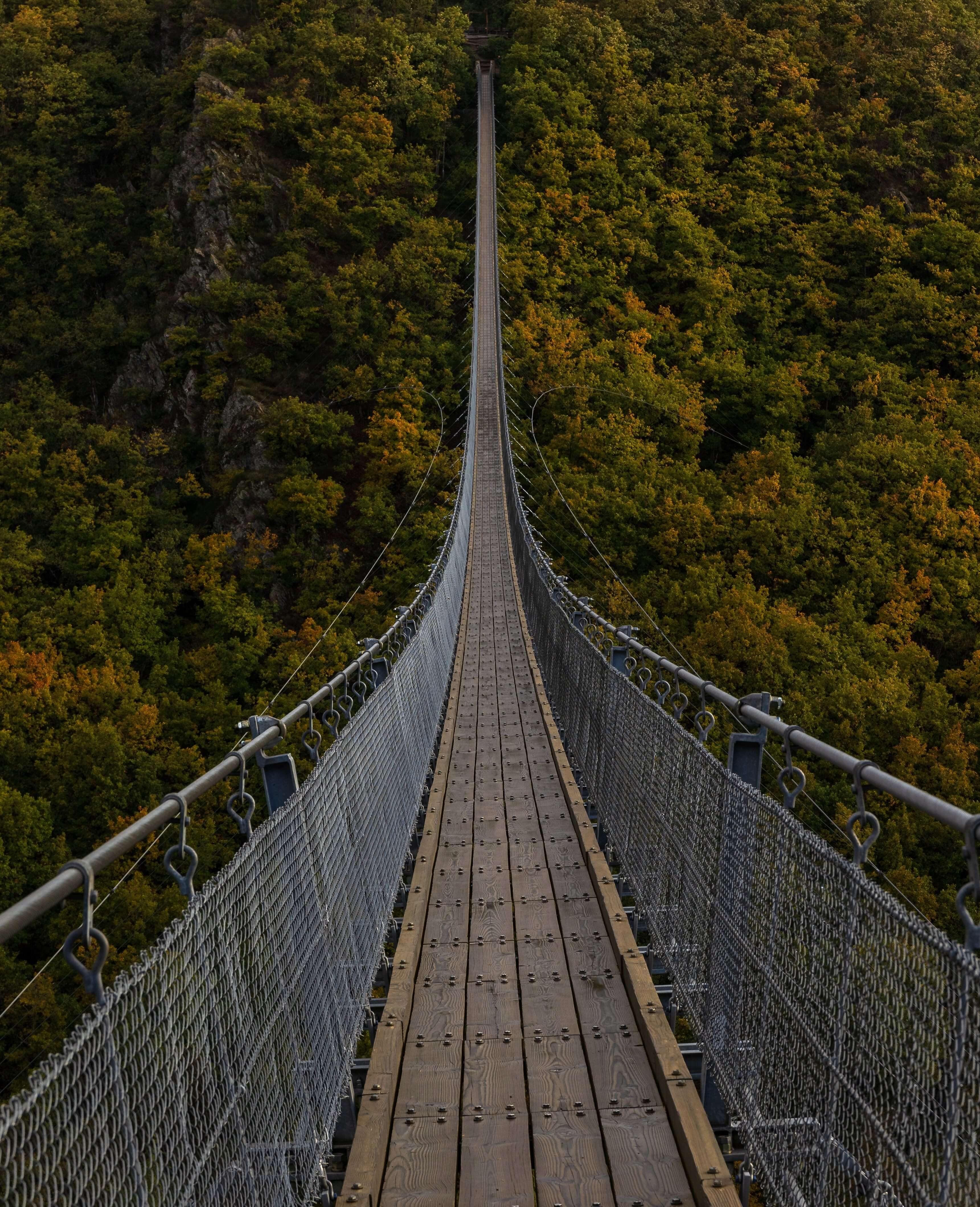 photo of a long bridge